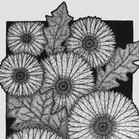 Image 2 of Flowers&Leaves hoodie