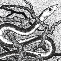 Image 2 of Bonsai Snake shirt