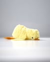 fuzzy yellow duckling