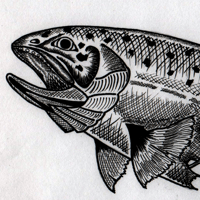 Image 2 of Trout long sleeve