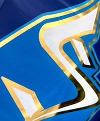 Image 6 of S - Letter - Framed Reverse Painted and Gold Gilded Glass