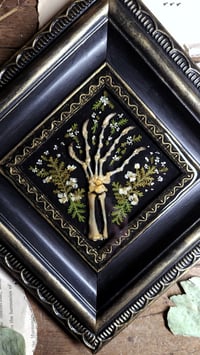 Image 1 of Beaded Lizard Claw Wall Frame