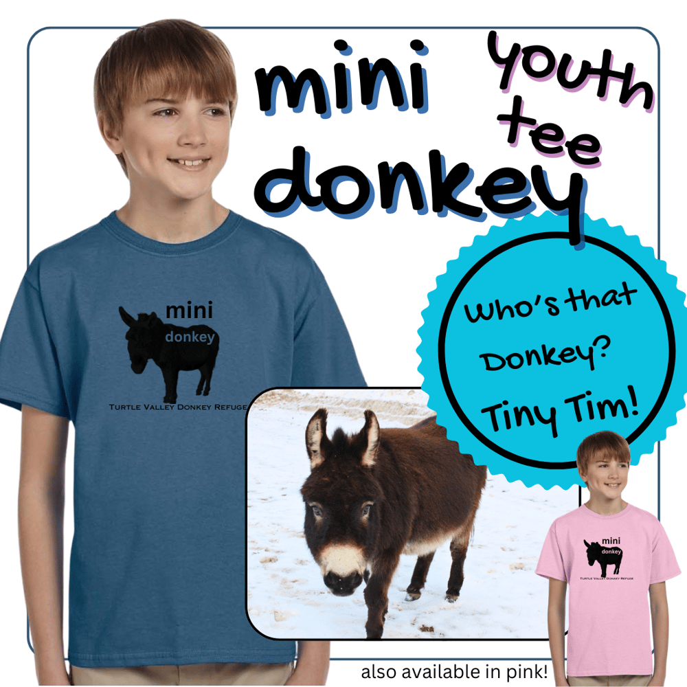 Image of youth tee - mini donkey