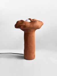 Image 2 of Table Lamp #14 TERRA Collection