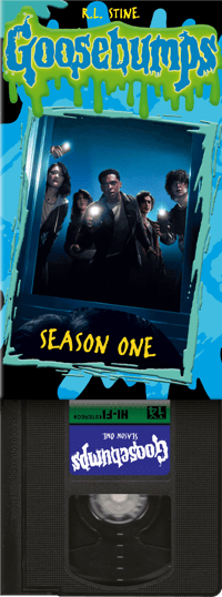 Image 1 of GOOSEBUMPS: SEASON ONE Custom VHS