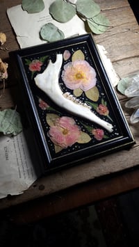 Image 4 of Jawbone and Rose Wall Frame
