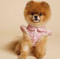 Image 1 of CHLOE TOP . PINK