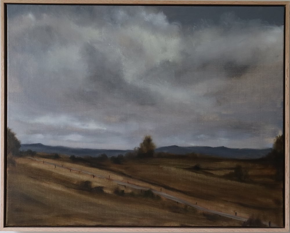 Image of Ciel couvert en campagne