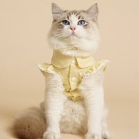 CHLOE TOP . YELLOW