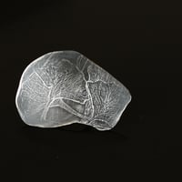 Image 1 of Gingko Leaf Silver Ring