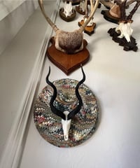 Image 2 of Marble Horn Plaque