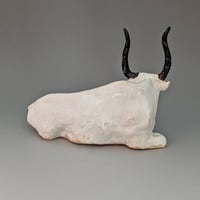 Image 3 of Resting bull