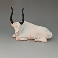 Image 2 of Resting bull