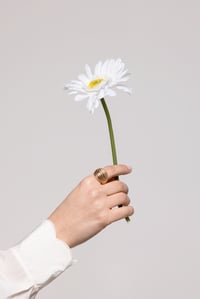 Image 3 of Petalo ❁ gold