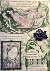 Le Jardin de mes Pensées Dépensées - Mind Garden