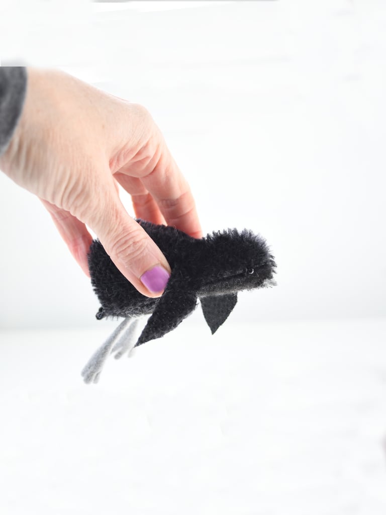 baby crow Image 4