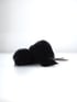  baby crow Image 5