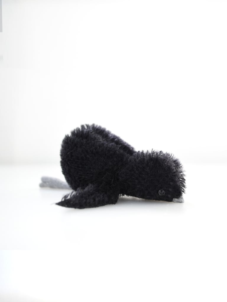 baby crow Image 3