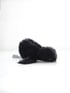  baby crow Image 3