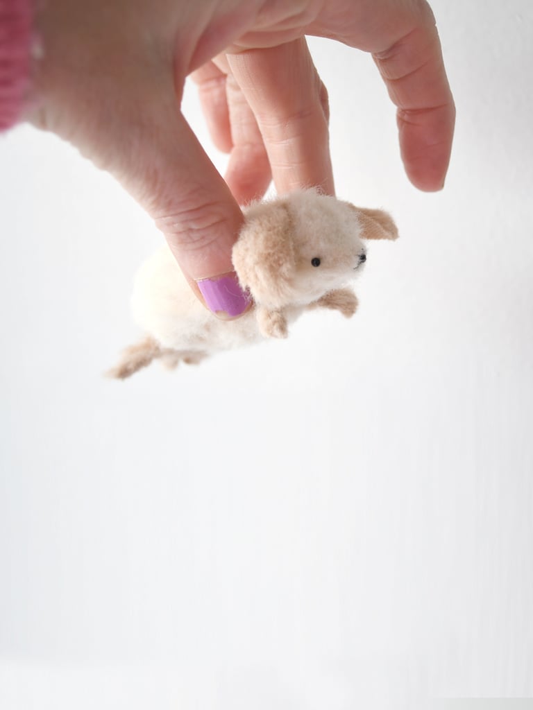 fluffy puppy Image 3