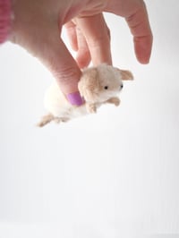 Image 3 of fluffy puppy