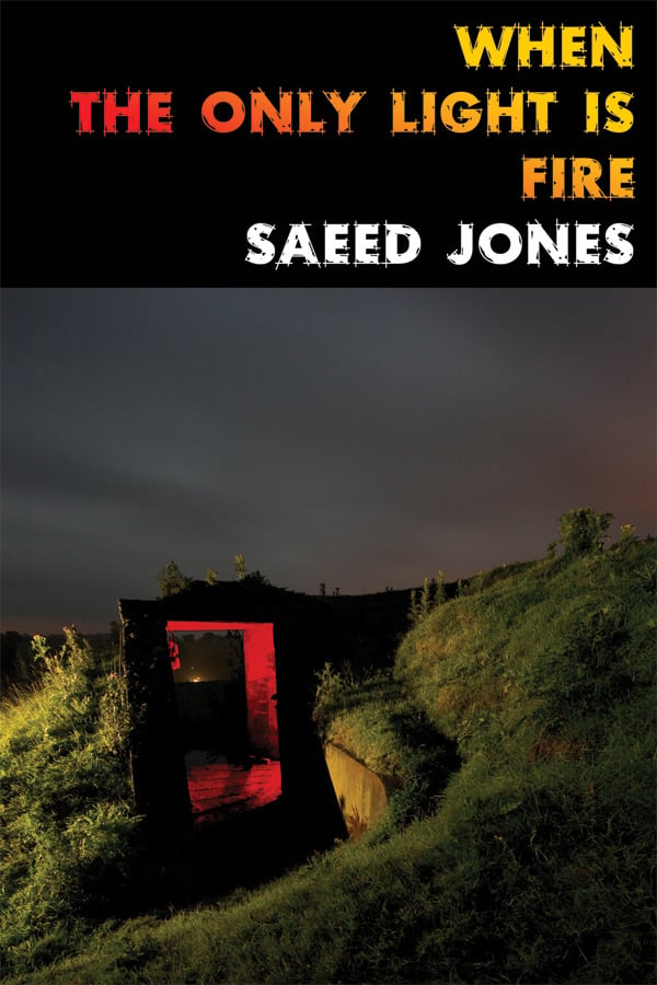Image of Top 10 ALA Over the Rainbow Title! When the Only Light Is Fire by Saeed Jones