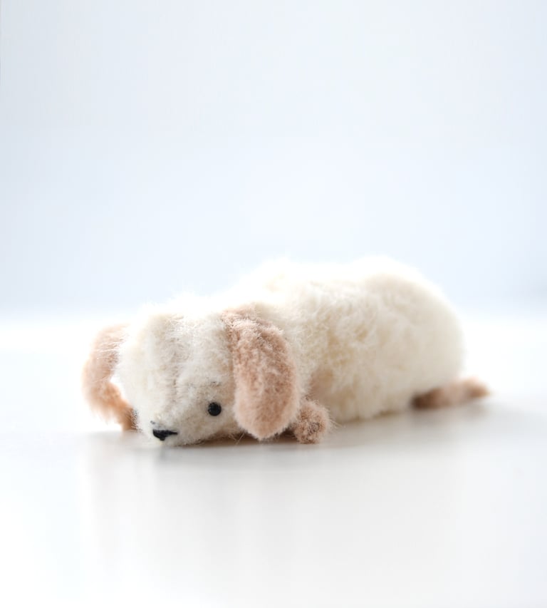 fluffy puppy Image 4