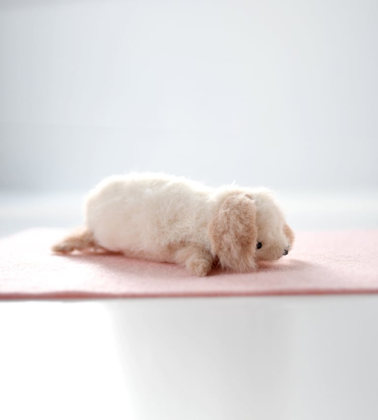 fluffy puppy Image 5