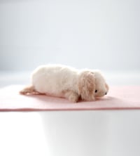 Image 5 of fluffy puppy