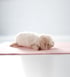 fluffy puppy Image 5