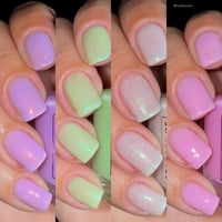Image 6 of Petal Perfection Collection