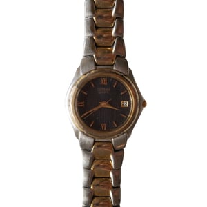 2000s 2 tone citizen