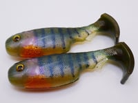 Image 3 of 3.5" Epic Pud Swimbait with Internal Rattles (Split Belly) (2 Pack) Gills