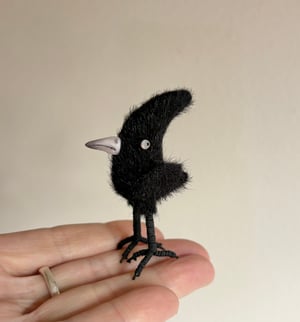 Image of Tiny Crested Raven #1