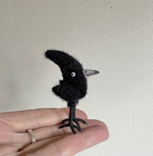 Image of Tiny Crested Raven #1