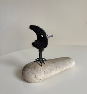 Image of Tiny Crested Raven #1
