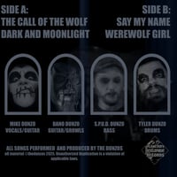 Image 2 of The Silver and The Stake 7 Inch 70g Black Vinyl