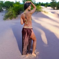 Image 9 of Metallic Gold & Brown Velvet Goddess Panel Set