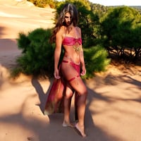 Image 4 of Red Gold Set