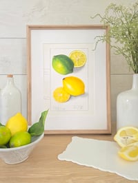 Image 2 of Vintage EIS Lemons & Limes print