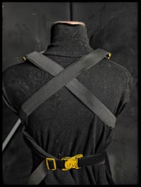 Image 8 of Robin chest armor