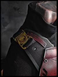 Image 6 of Robin chest armor