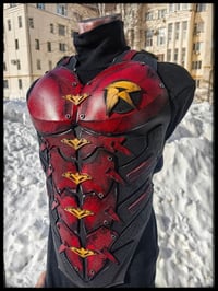 Image 4 of Robin chest armor
