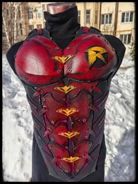 Image 5 of Robin chest armor