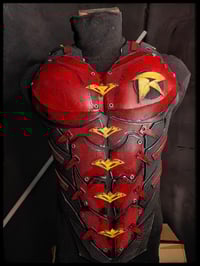 Image 1 of Robin chest armor