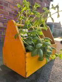 Image 1 of Small Yellow Chippy Wooden Trug 