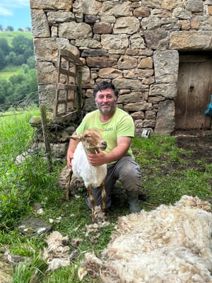 Image of Mini carretes Lana Robla