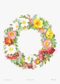 Vintage PJR Roses print