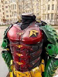 Image 4 of Robin cosplay suit