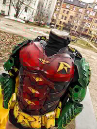 Image 5 of Robin cosplay suit